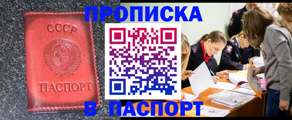 прописка для школы в Шатуре
